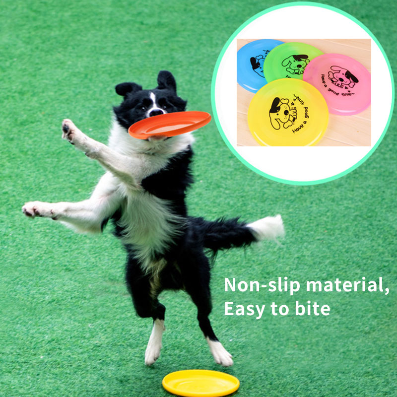 Pet Toys