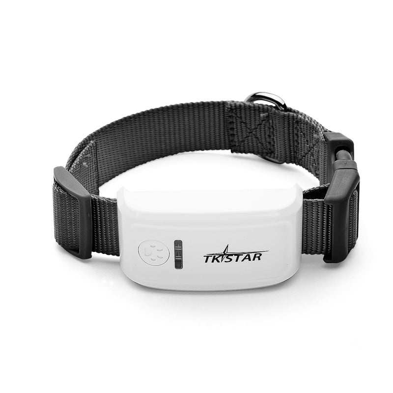 Black cat GPS tracker collar device for pets with real-time location and alerts
