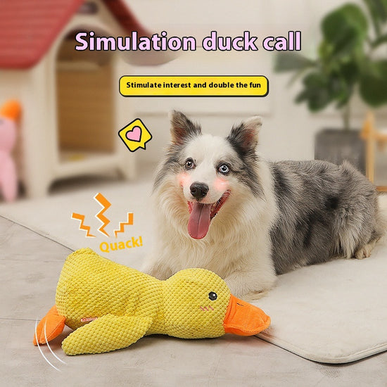 Calming Duck