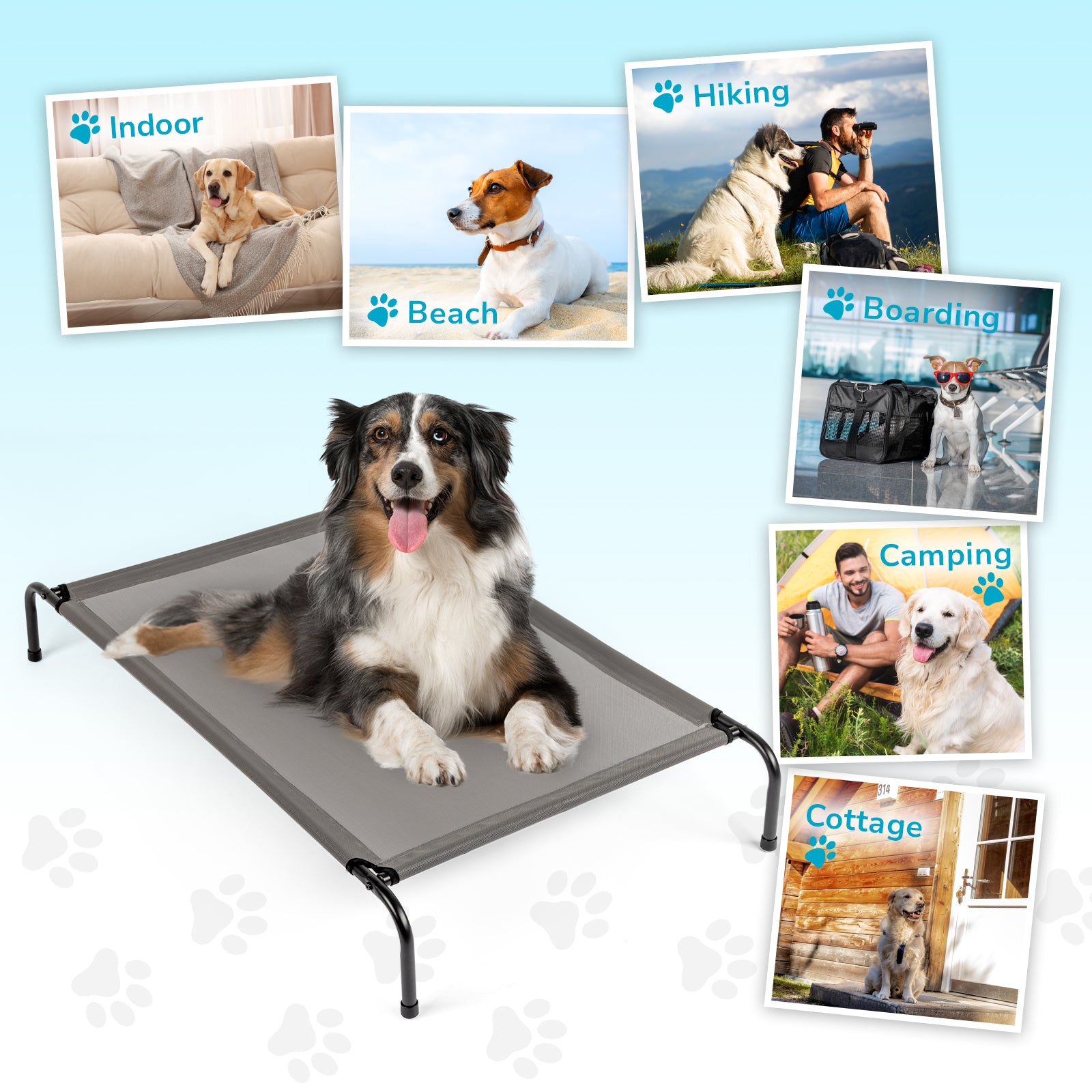 Pet Beds