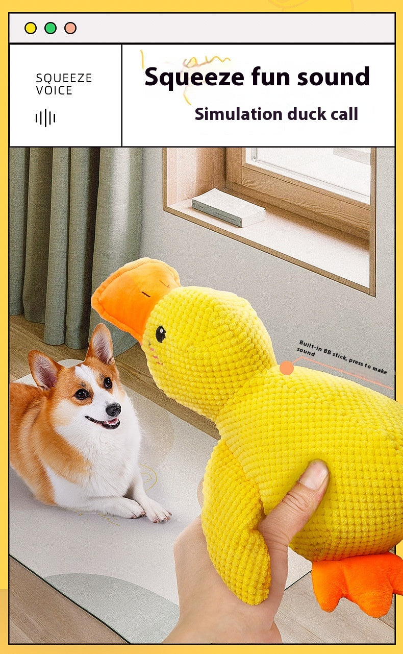 Calming Duck