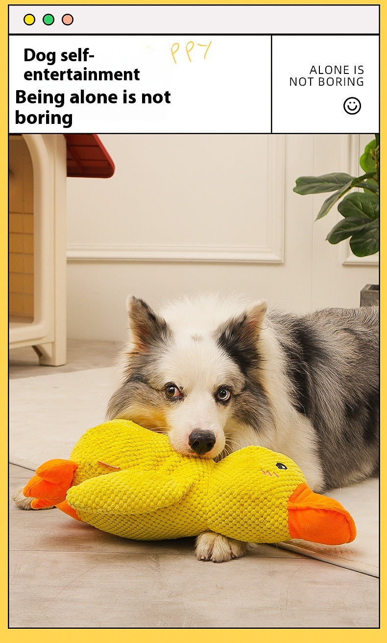 Calming Duck