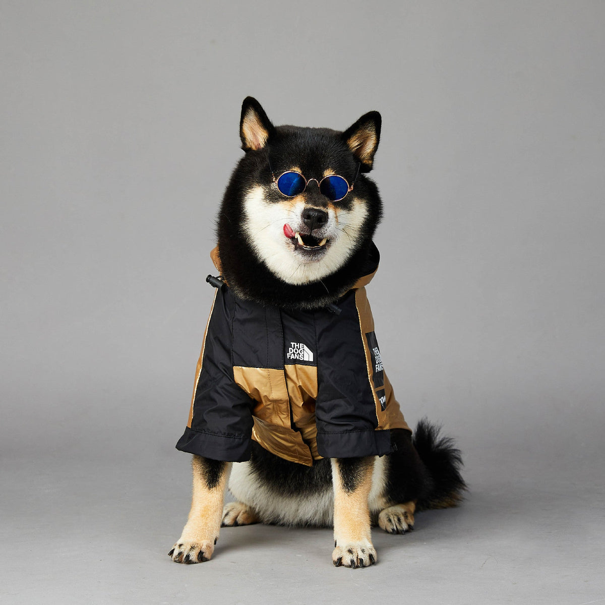 Large golden polyester dog raincoat jacket for pets in multiple sizes