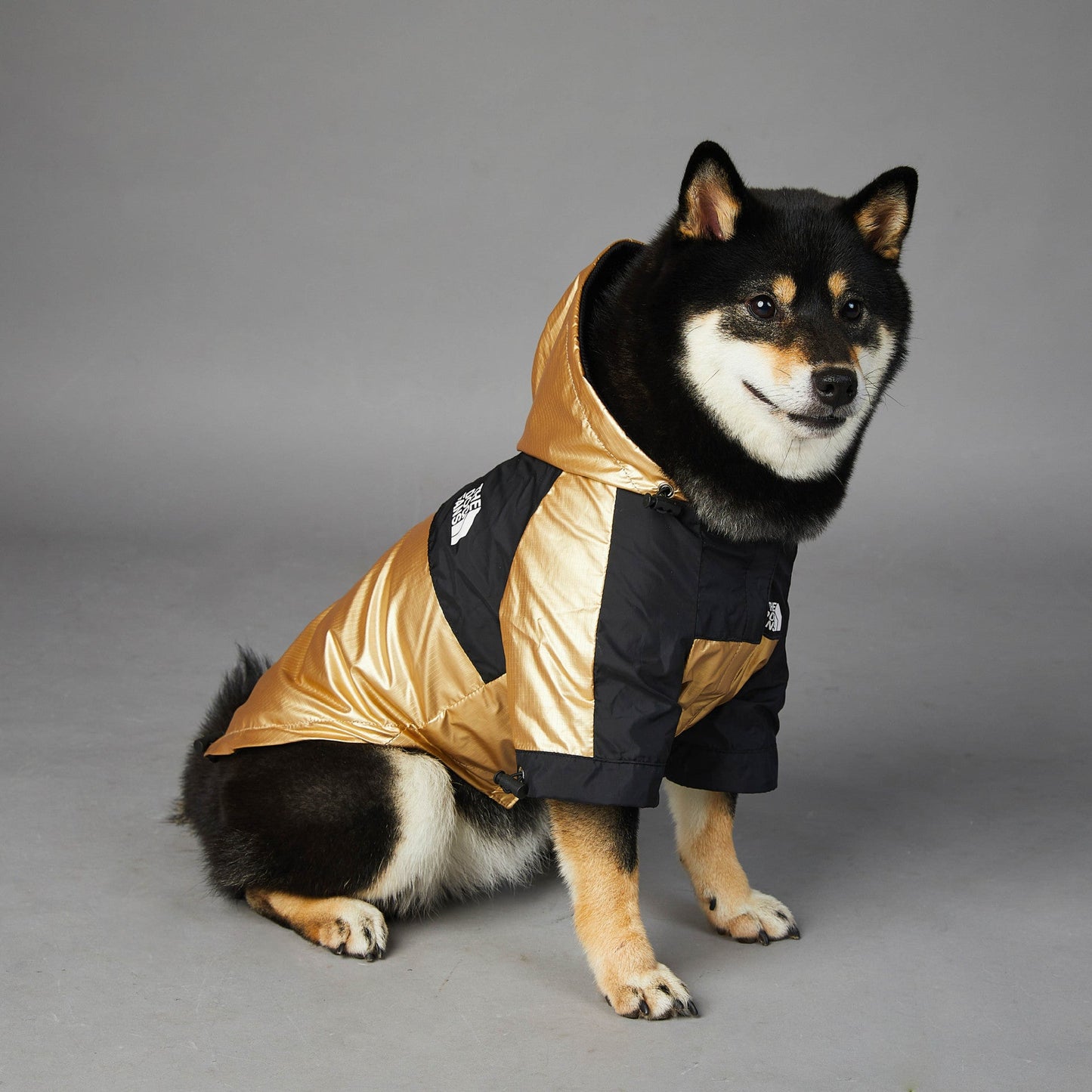 Large golden dog raincoat polyester pet jacket for rainy weather