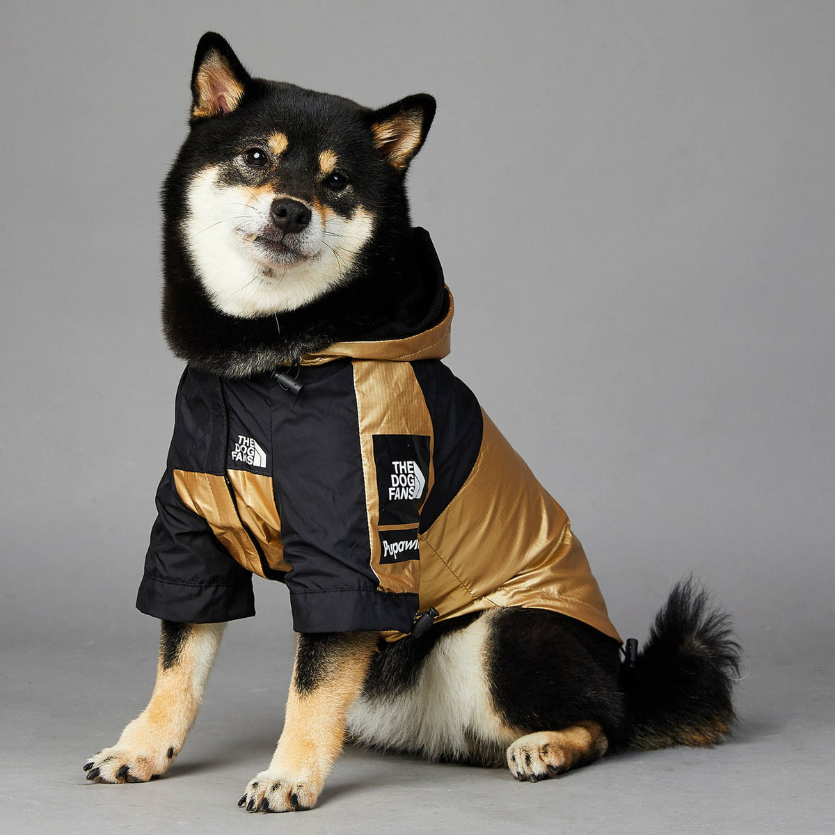 large golden dog raincoat polyester pet jacket for rainy weather